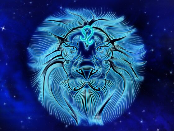 leone segno zodiacale caratteristiche